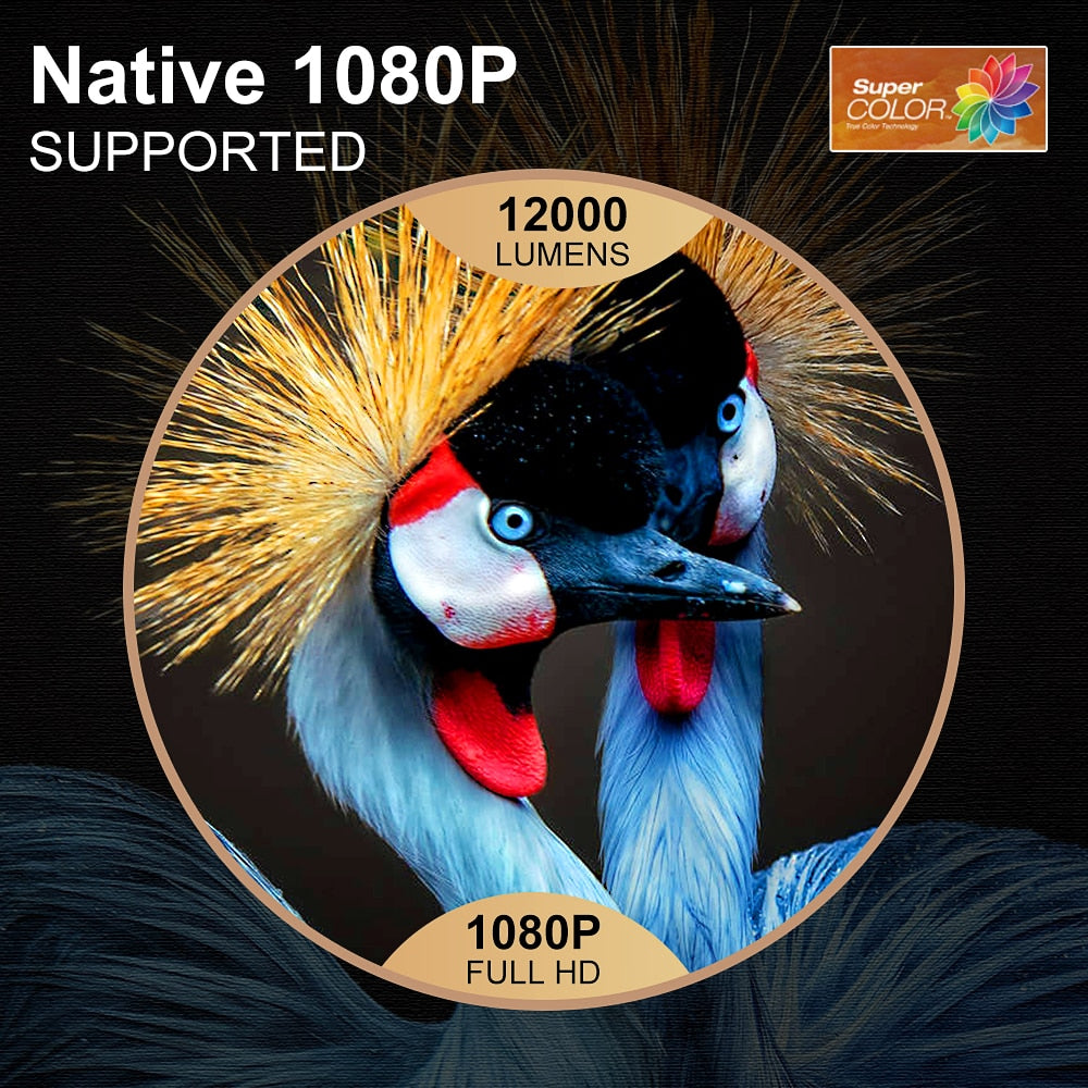 1080P Projector TD98