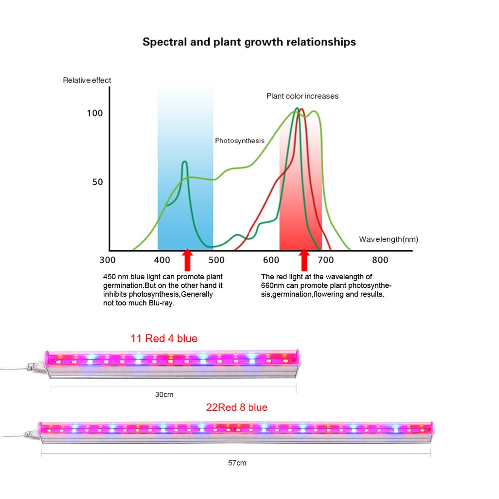 Full Spectrum Phytolamps For Plants