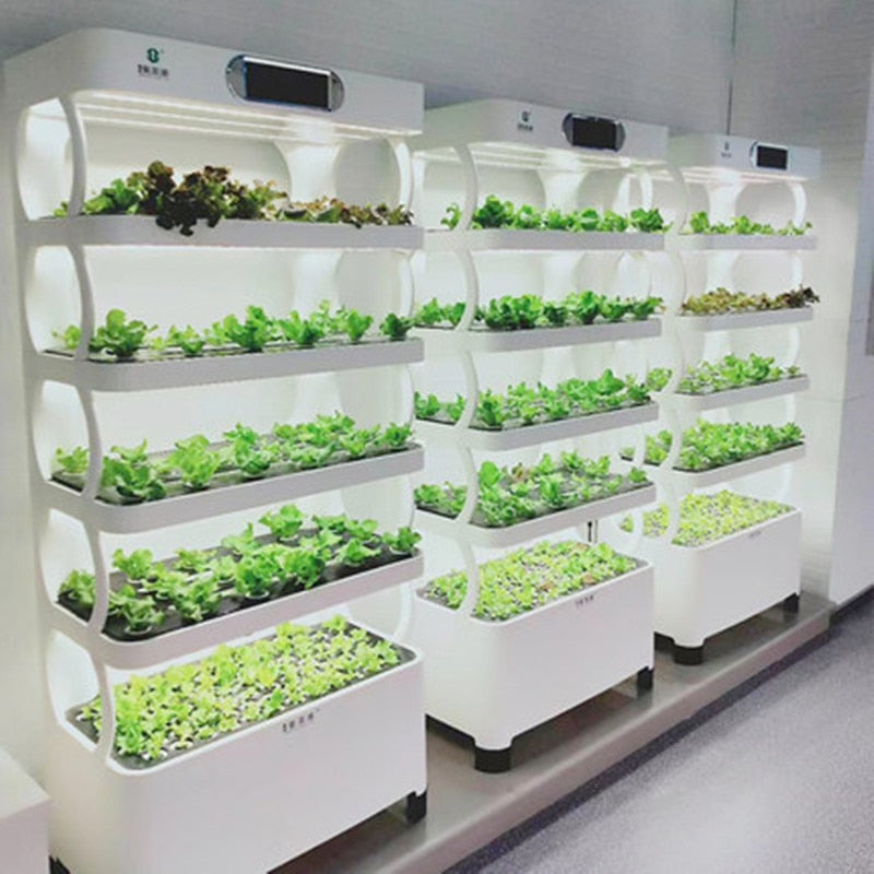 Smart Hydroponic Planter