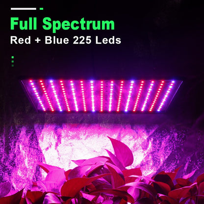 Full spectrum LED grow lamp