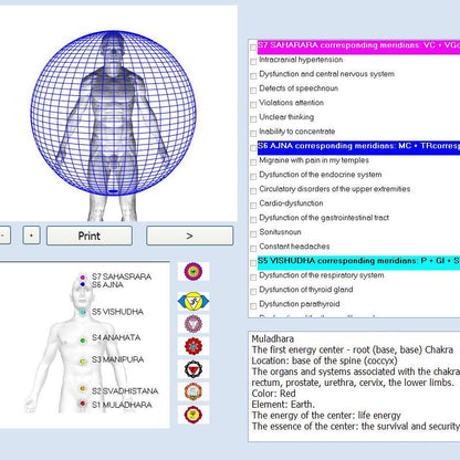 Quantum Body Analyzer