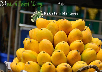 Sindhri Mangoes