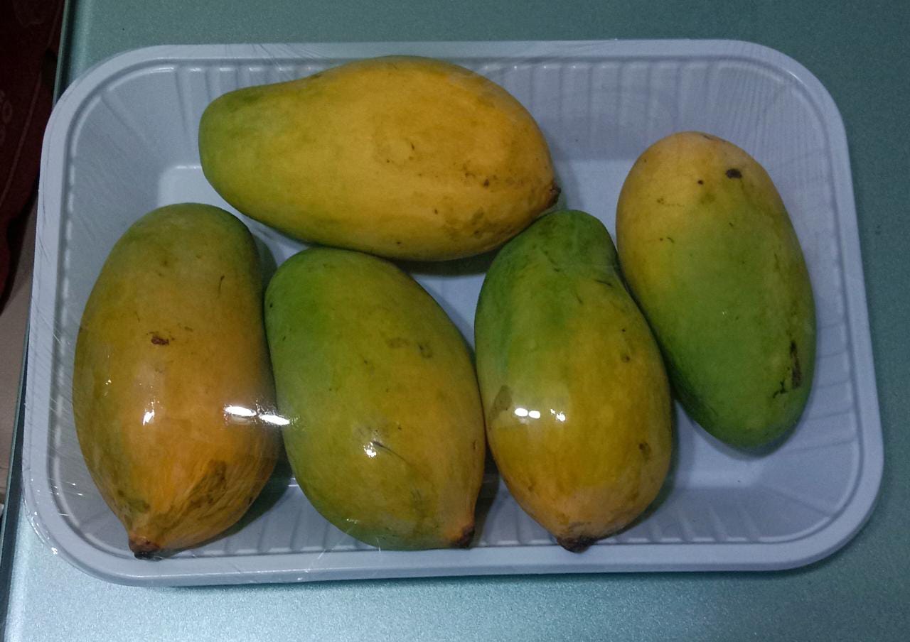 Sindhri Mangoes