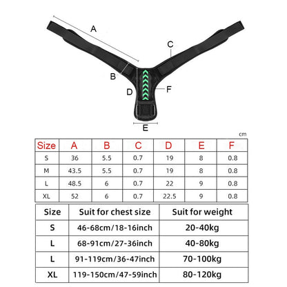 posture corrector