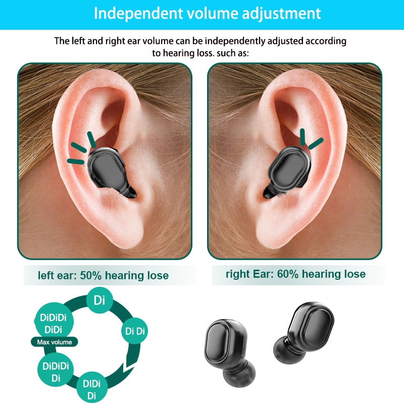 HearingUnion F331 Hearing Aid