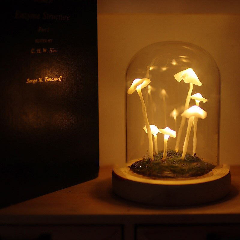 LED night light