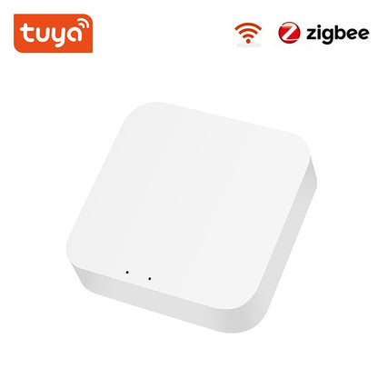  20A Zigbee Smart Plug