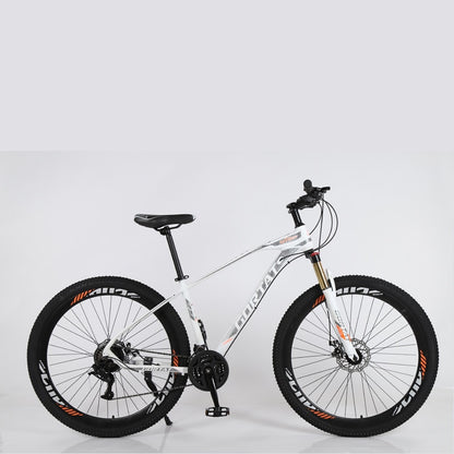 AiDynamics mountain bike