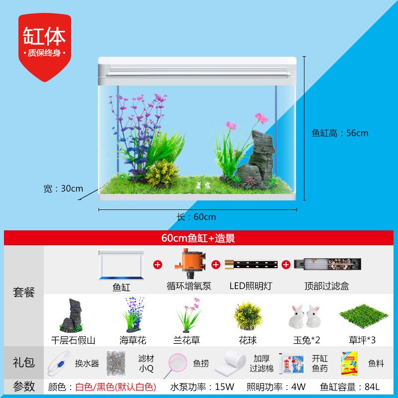 Fish Tank Aquarium