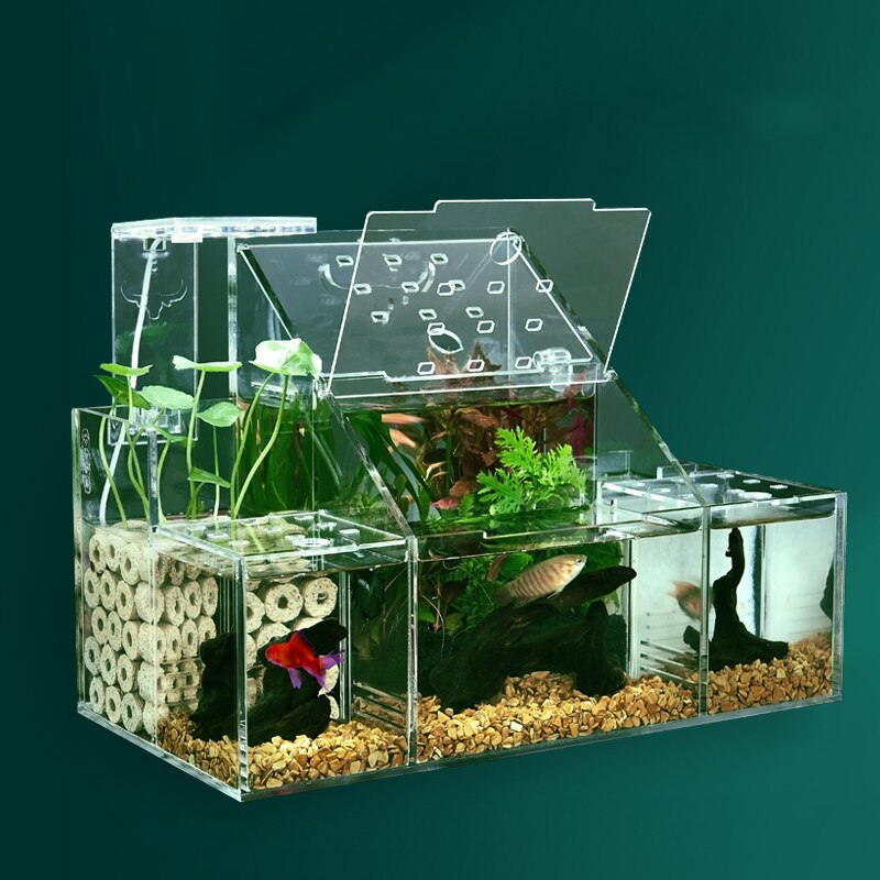 Aquarium Fish Tank

led