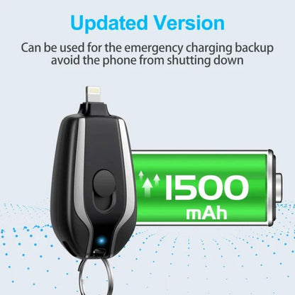 Merlin Portable Keychain Charger