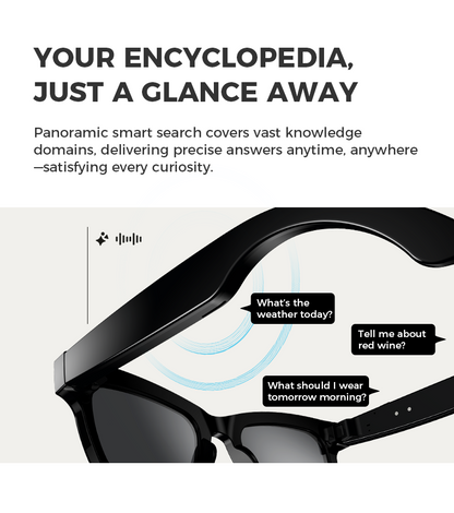 Ai Dynamics – Ai Vision Pro AI Smart Glasses with Camera