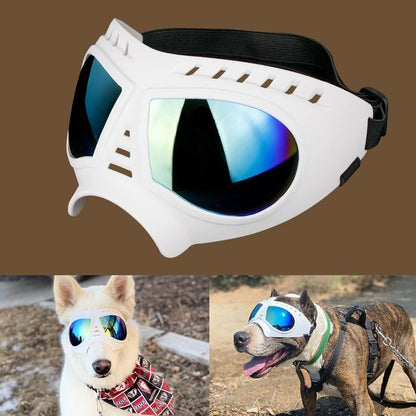 Lunettes pour chiots à monture souple