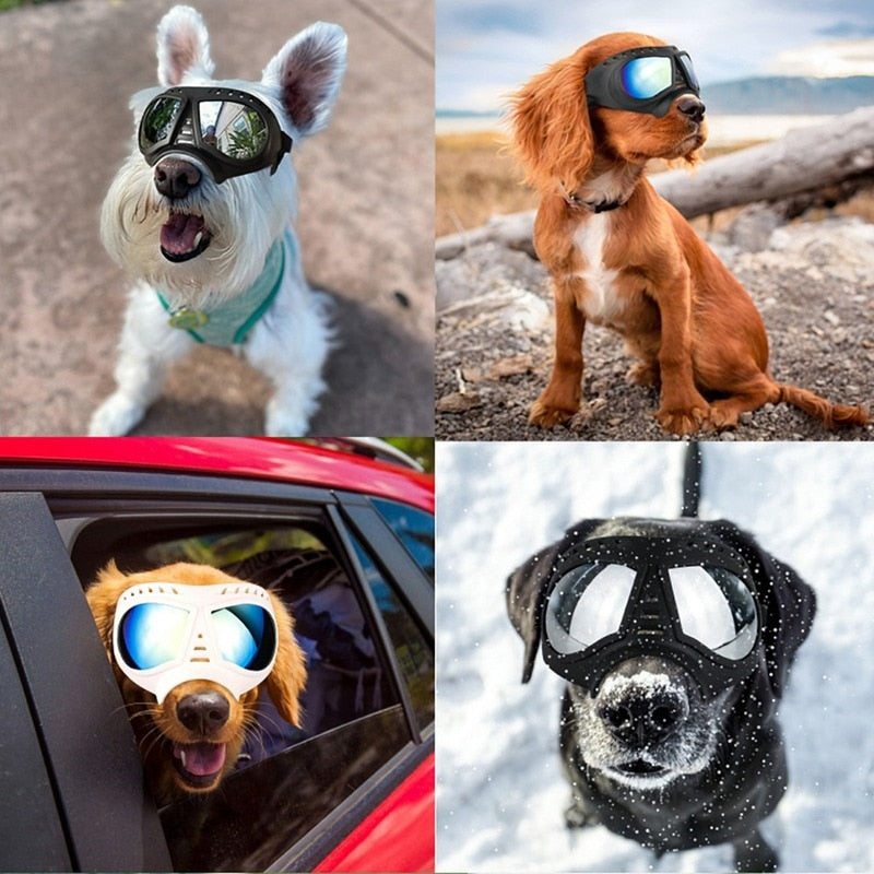 Lunettes pour chiots à monture souple