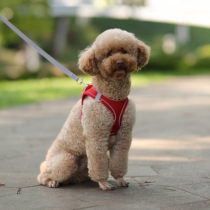 Ensemble de laisse de harnais de chien pour petits chiens