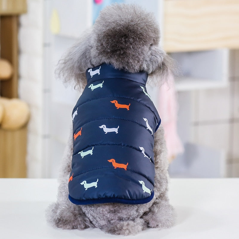 Pawstrip's Pet Dog Winter Coat