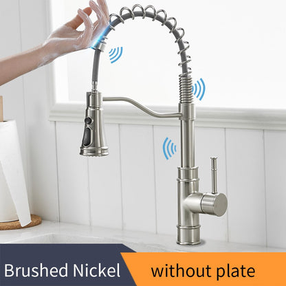 Purify Kitchen Faucet