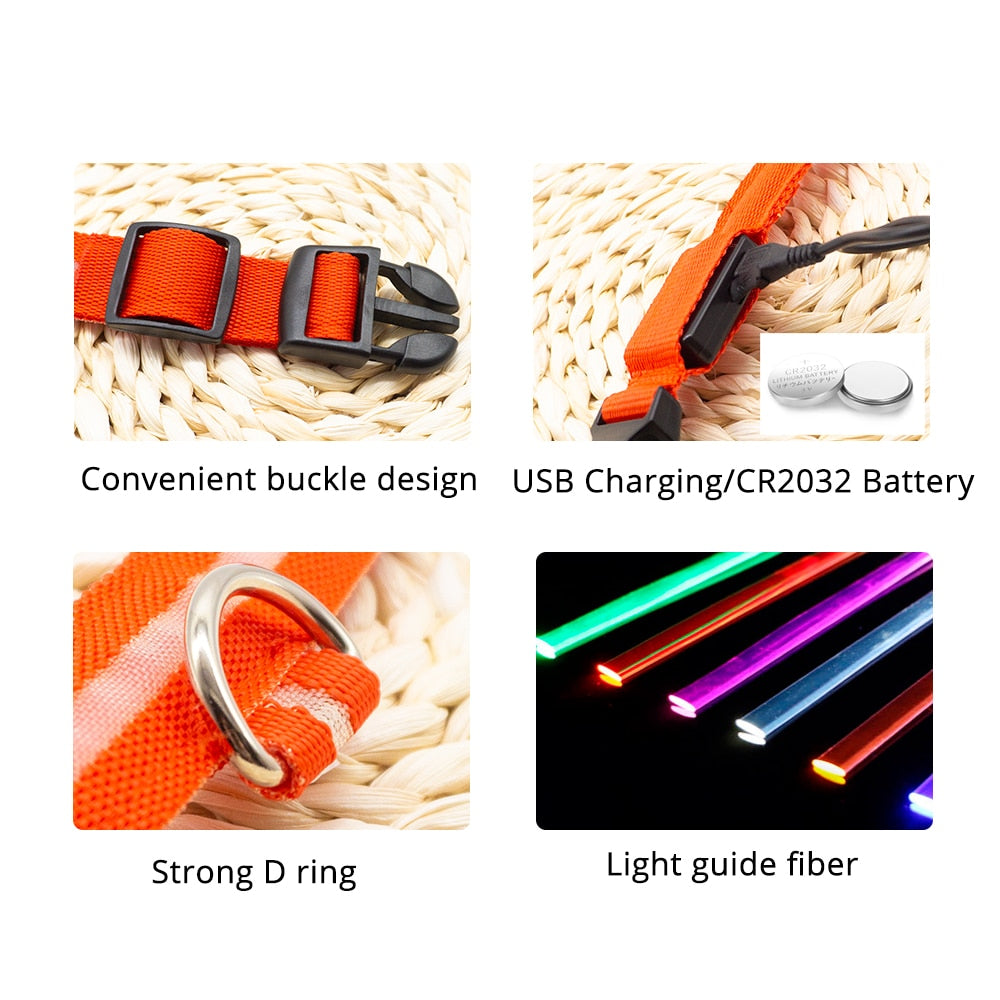 LED Dog / pet Collar