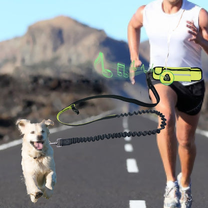 Hands Free Pet Leash