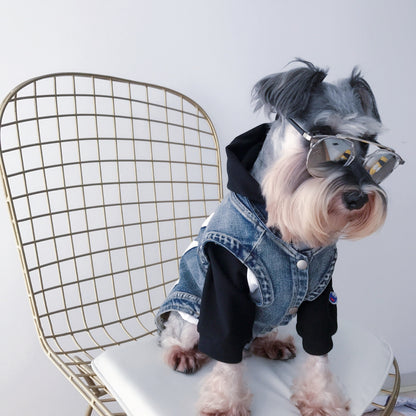 fashionable dog vest