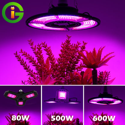 GRAXIDEA's LED Grow Light