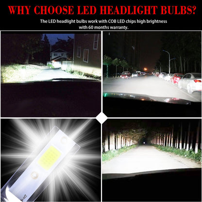 Car Headlight Bulbs