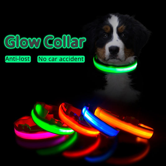 LED Dog / pet Collar