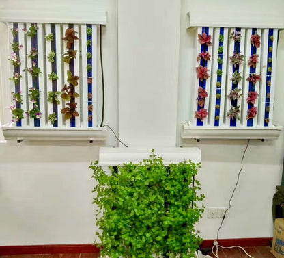 NFT Hydroponic Growing System