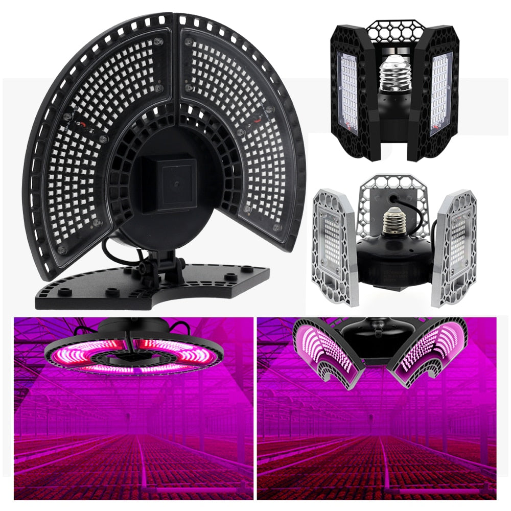 GRAXIDEA's LED Grow Light