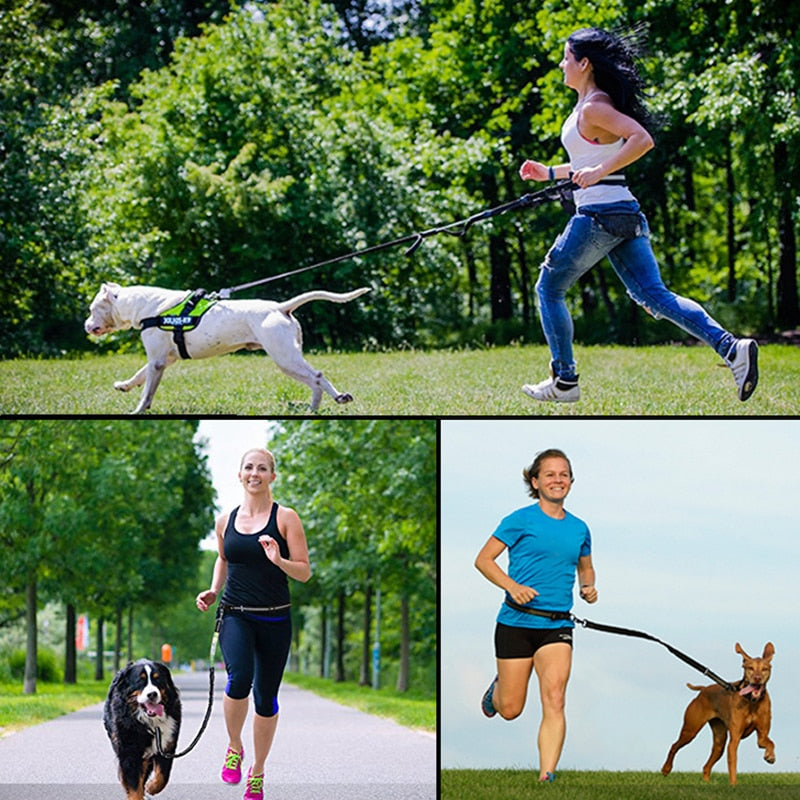 Hands Free Pet Leash