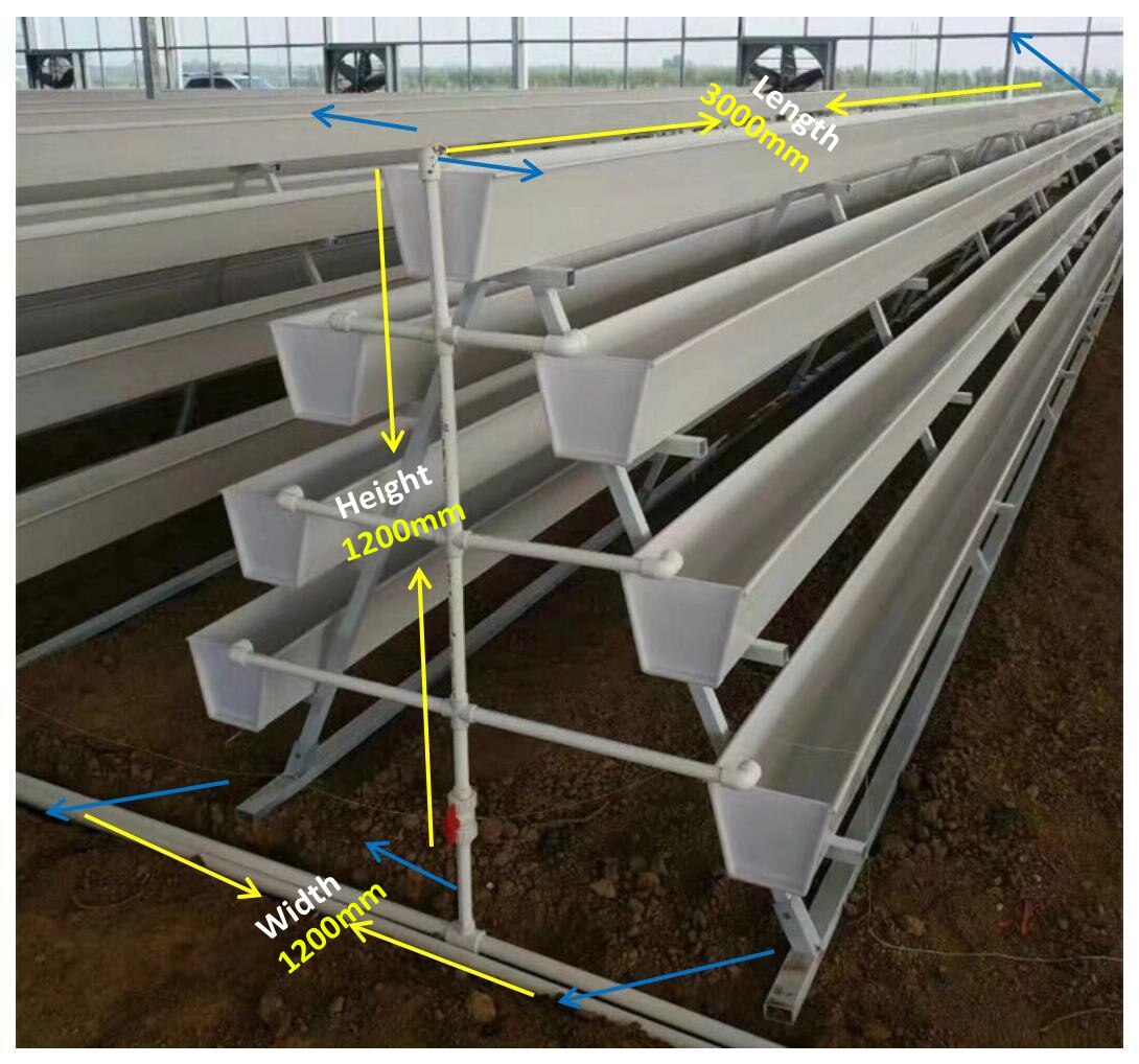 Commercial NFT hydroponic Growing System 