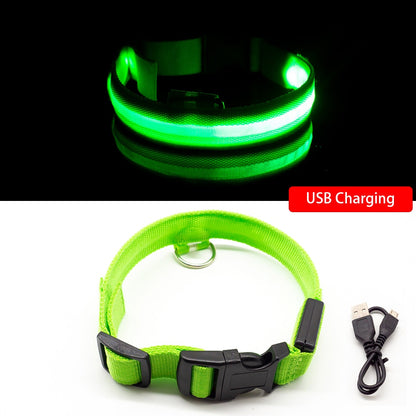 LED Dog / pet Collar