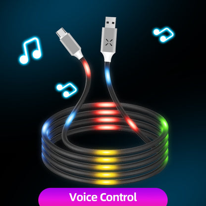 Merlin Luminous Voice Control USB Cable Type C 