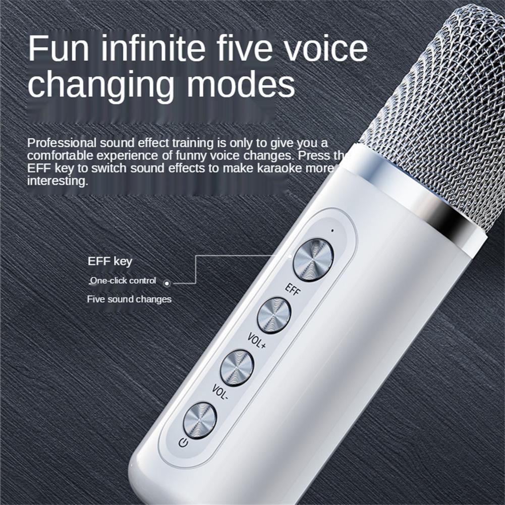 HM99 Portable Professional Karaoke