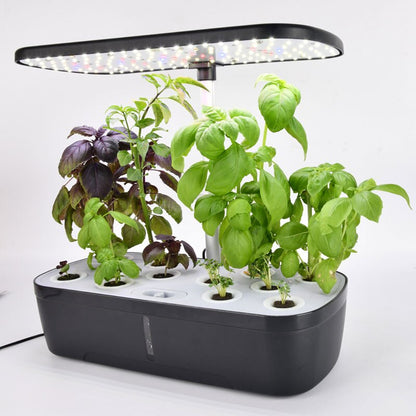 Indoor Herb Garden Kit