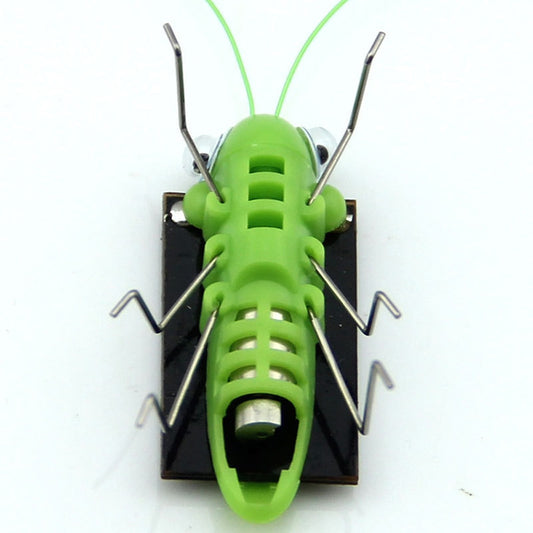 Solar Grasshopper 2022