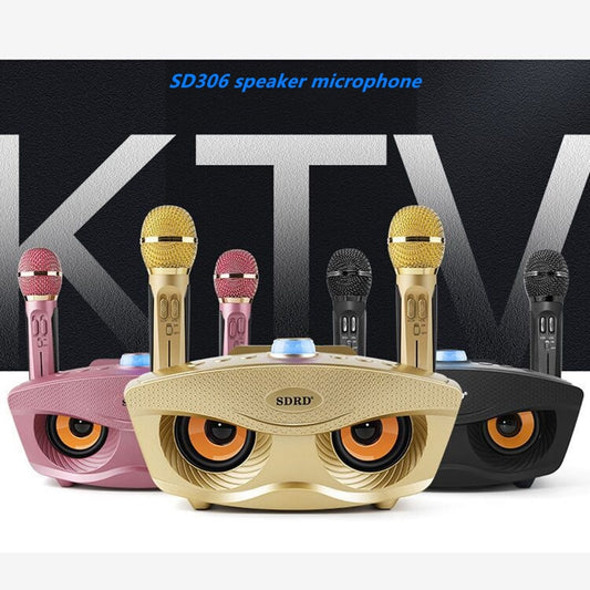 En gros SD306 20W Bass Sound Famille KTV 2 EN 1 Portable Karaoké BT Haut-Parleur Sans Fil Avec Double Microphone De Poche Hibou Haut-parleurs