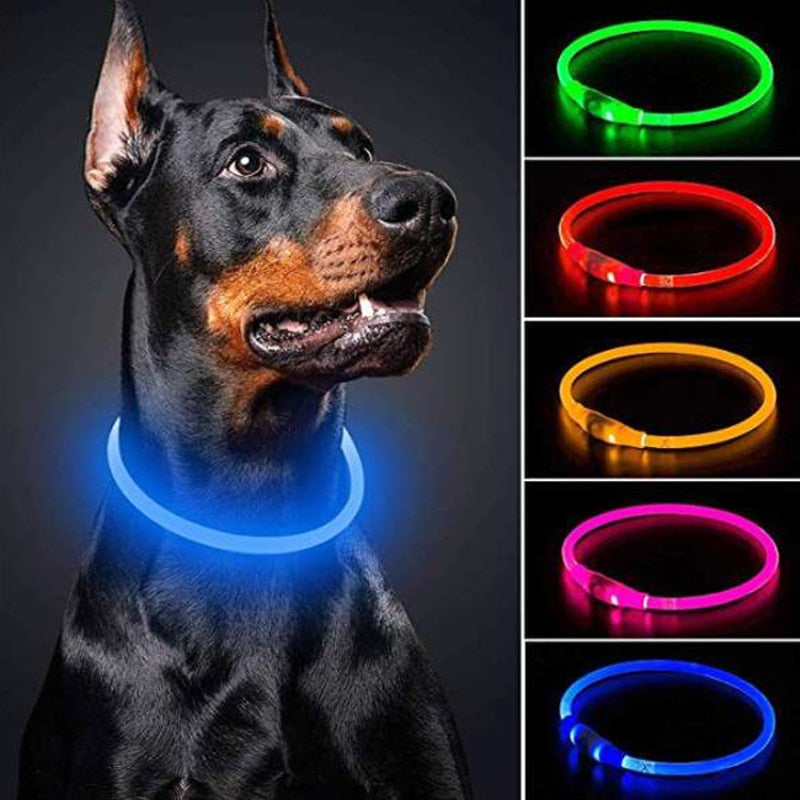 Luminous Dog Collar