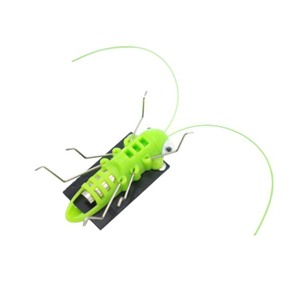 Solar Grasshopper 2022