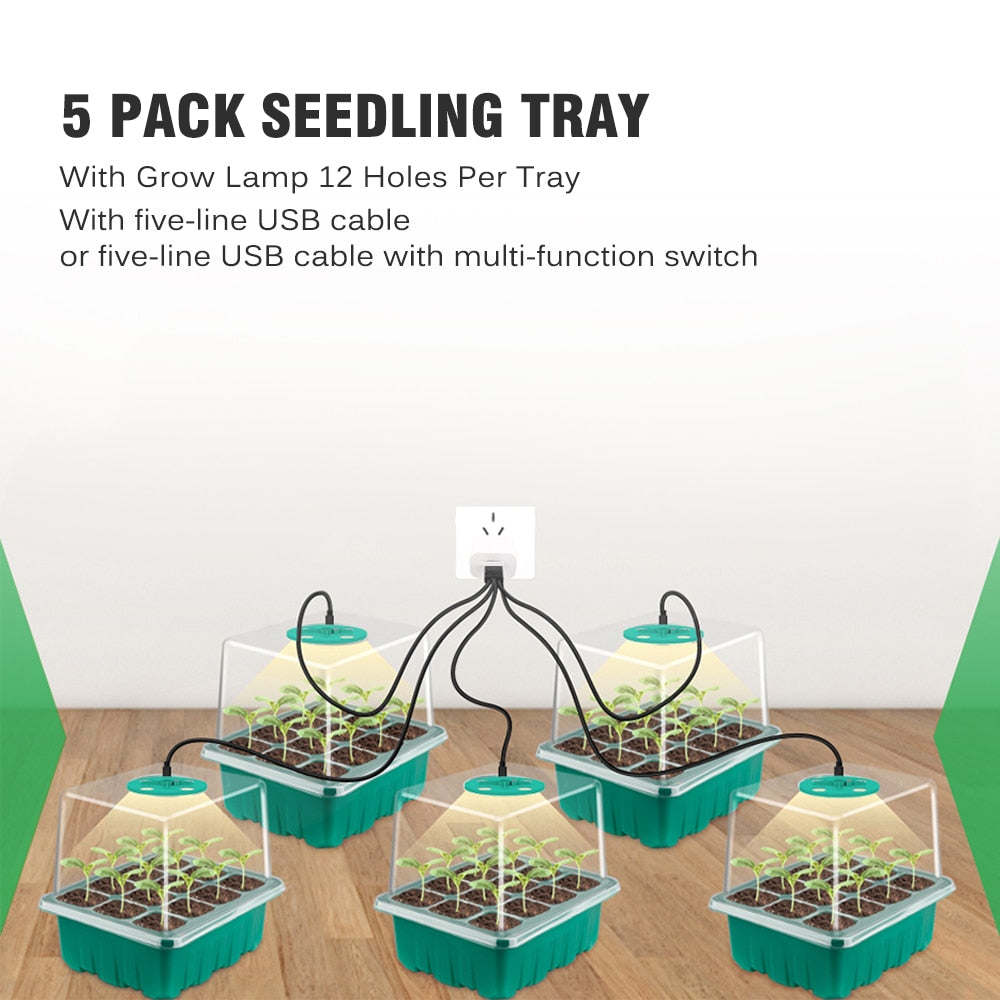 Seedling Starter Trays Kit