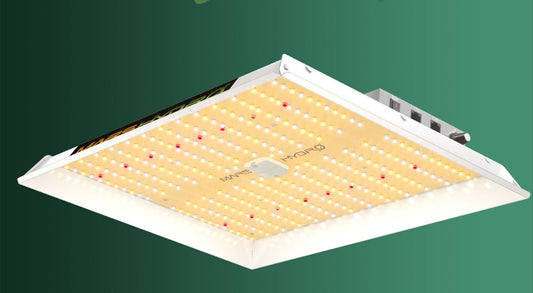 Led Lamp quantum board