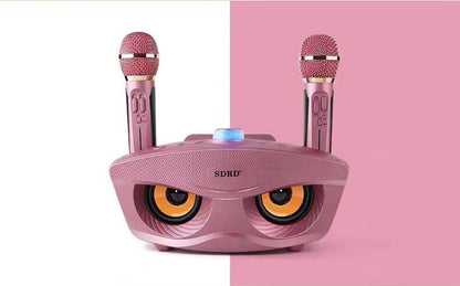 En gros SD306 20W Bass Sound Famille KTV 2 EN 1 Portable Karaoké BT Haut-Parleur Sans Fil Avec Double Microphone De Poche Hibou Haut-parleurs