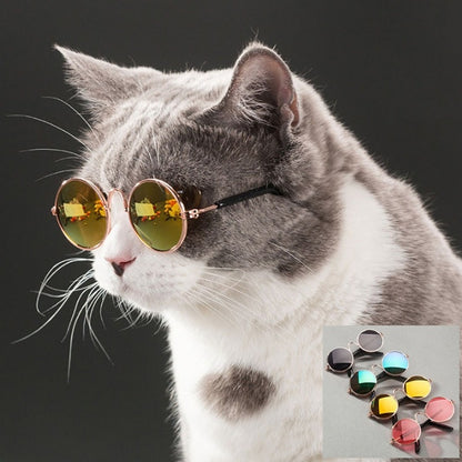 Dog Cat Eye Wear Sunglasses