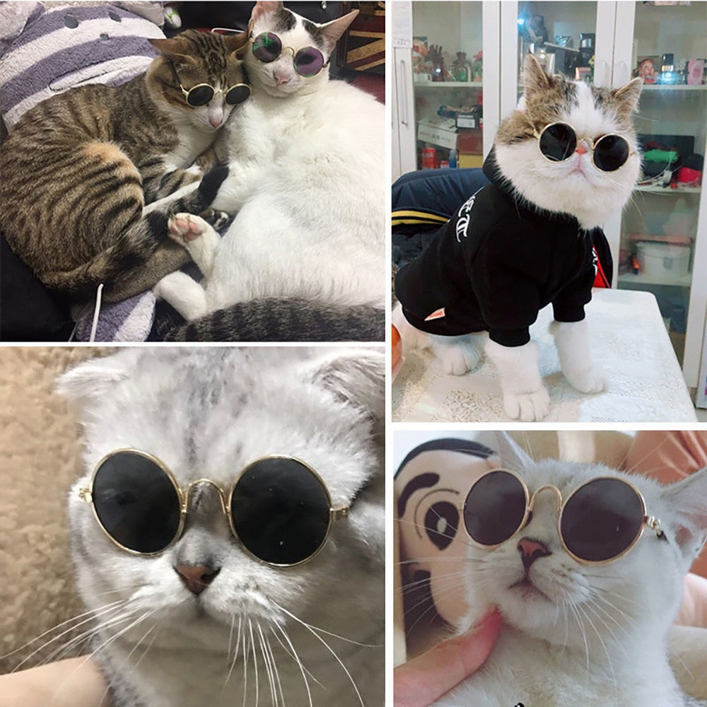 Dog Cat Eye Wear Sunglasses