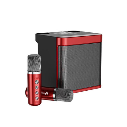 HM99 Portable Professional Karaoke