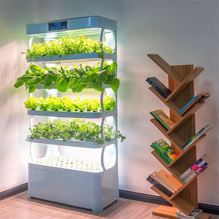 Hydroponics Growing System