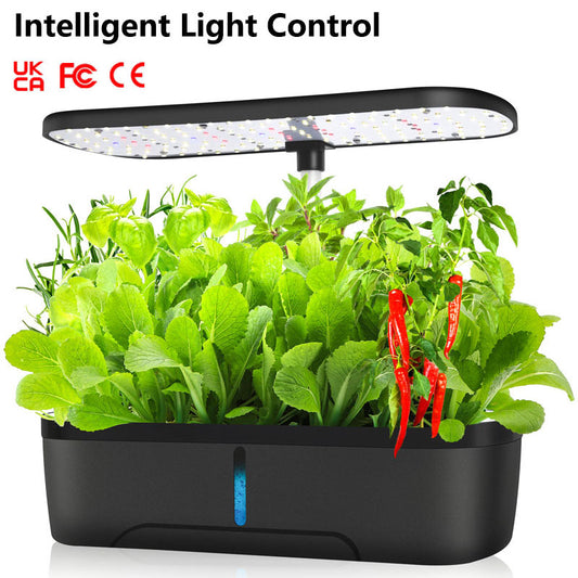 Indoor Herb Garden Kit