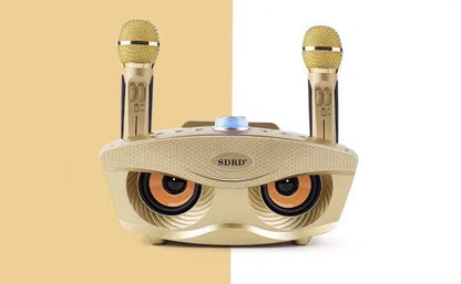 En gros SD306 20W Bass Sound Famille KTV 2 EN 1 Portable Karaoké BT Haut-Parleur Sans Fil Avec Double Microphone De Poche Hibou Haut-parleurs