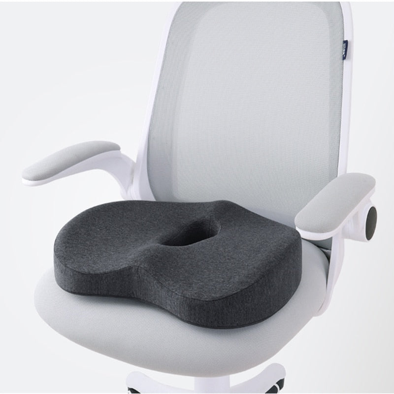 Lumbar Cushion