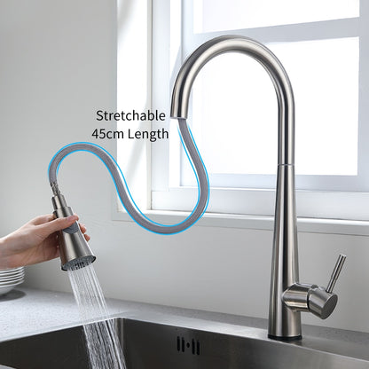 Purify Kitchen Faucet